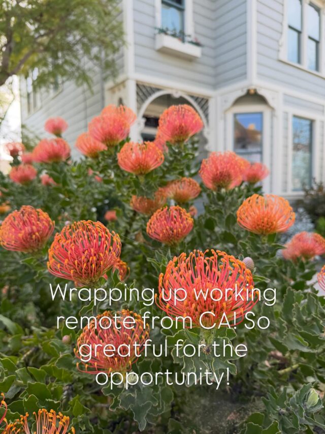 Instagram post 18428534725139267